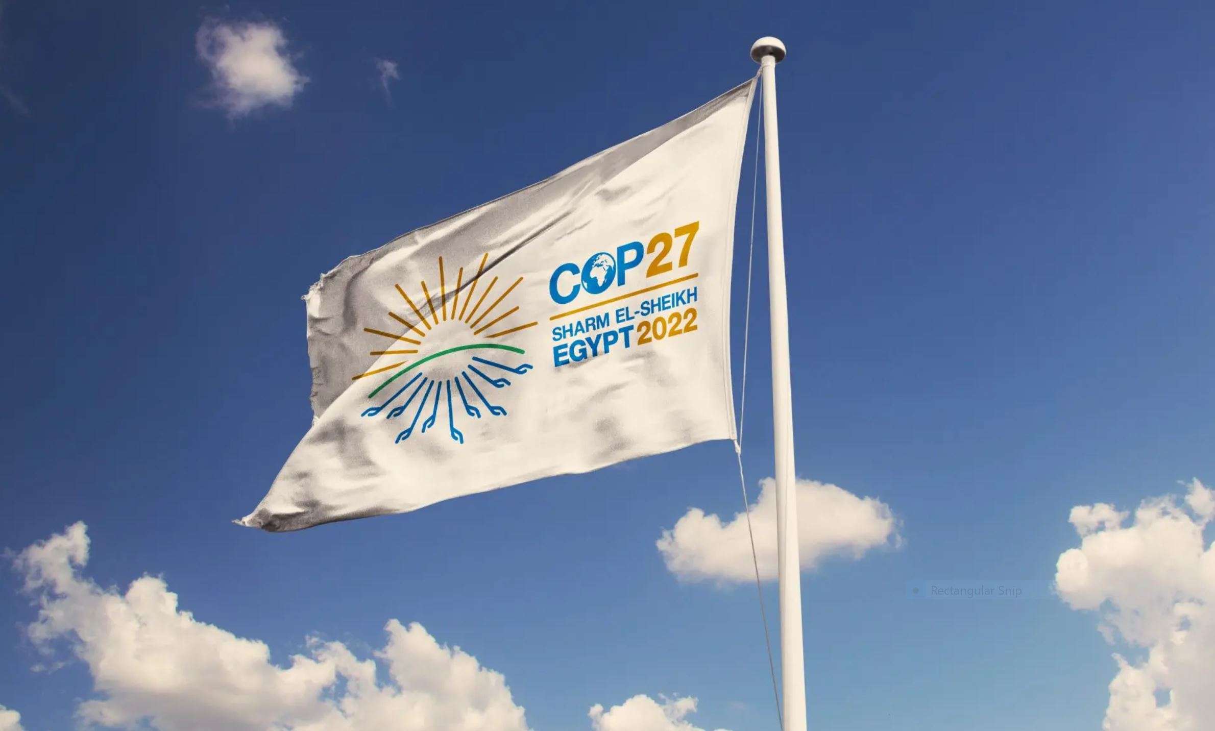 Will COP27 enhance the climate for climate tech firms?