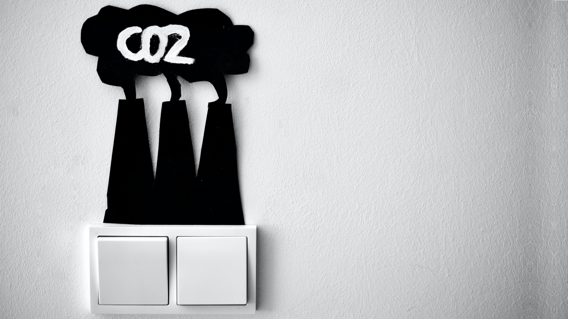 Beyond carbon reductions: why impact investors must look past just CO2 metrics