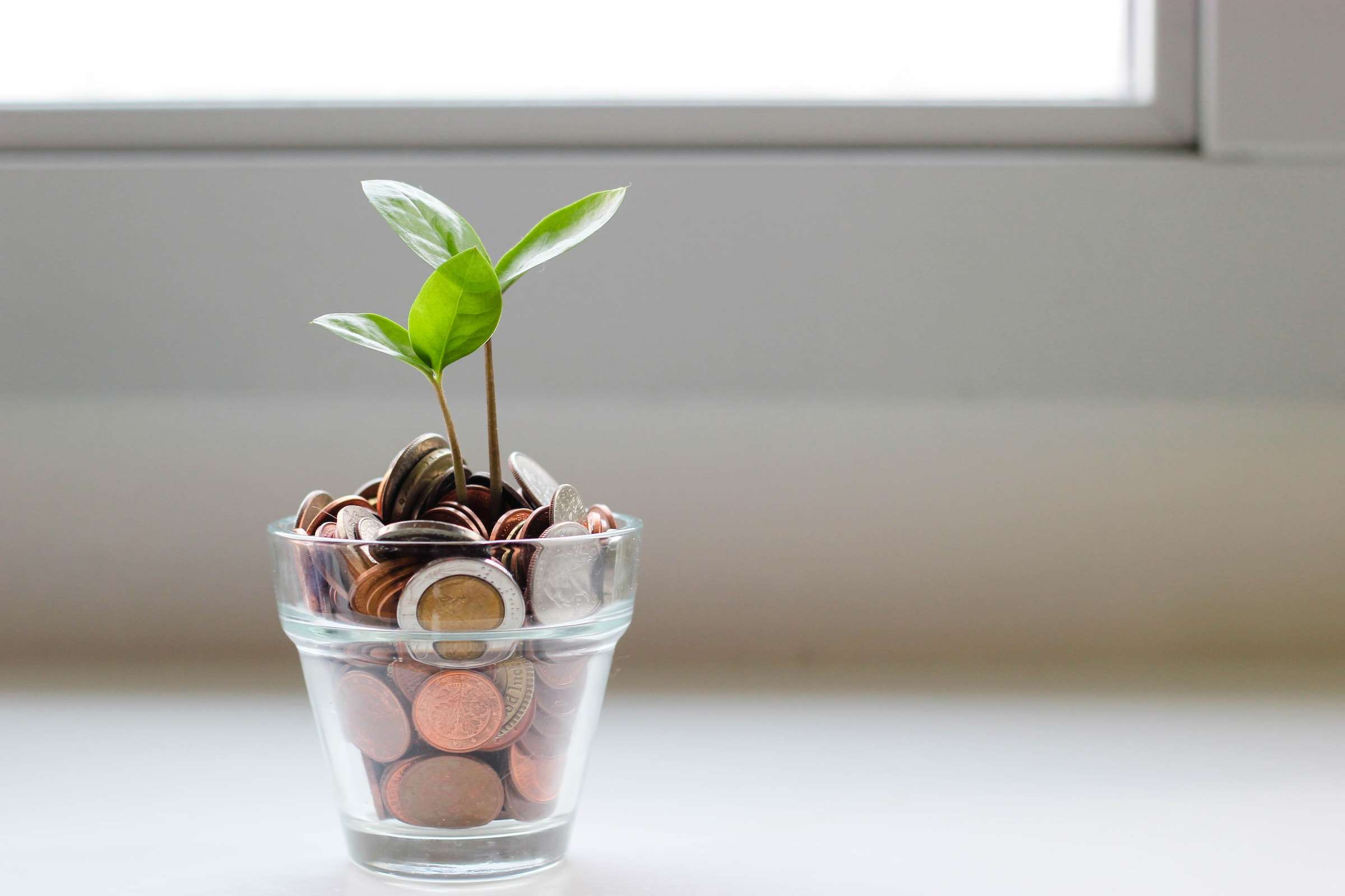 EnOcean secures investment to drive sustainable IoT innovation