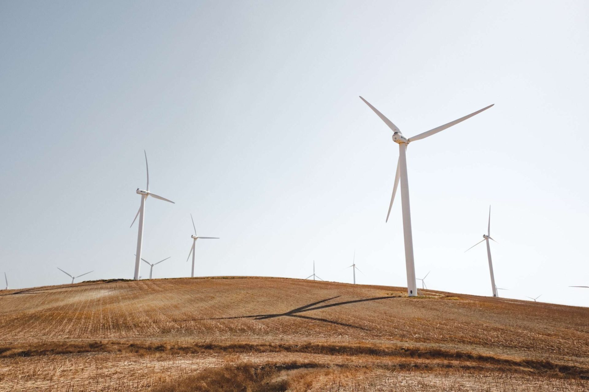 Etpa launches platform to disrupt European power trading